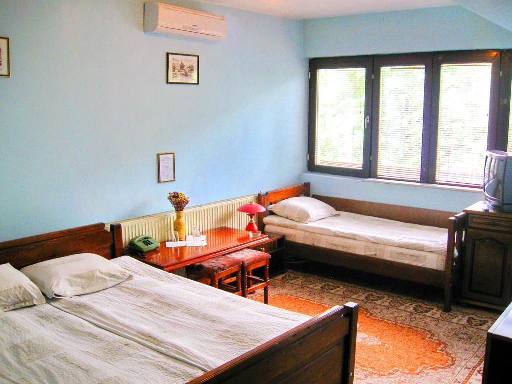 Amfora Rooms Caribrod Dimitrovgrad Rom bilde