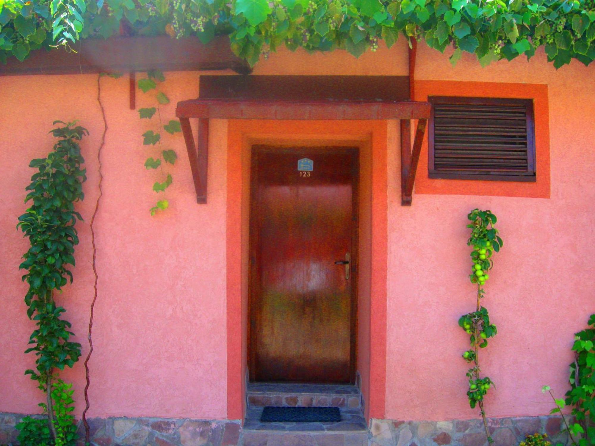 Amfora Rooms Caribrod Dimitrovgrad Rom bilde